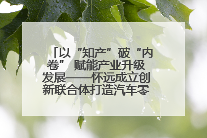 以“知产”破“内卷” 赋能产业升级发展——怀远成立创新联合体打造汽车零部件产业新高地